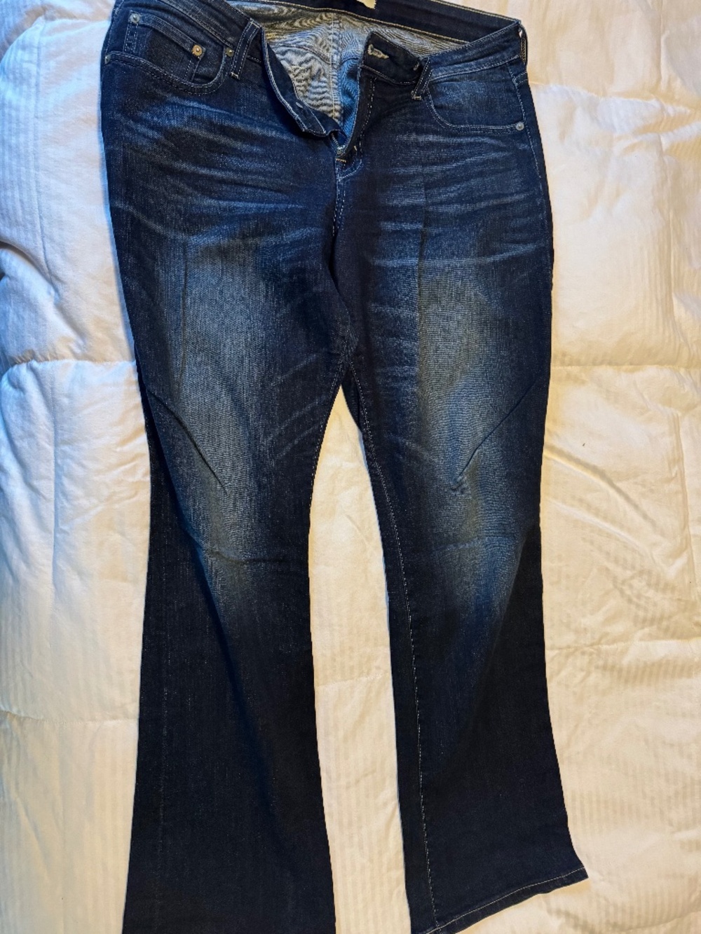 Big Star Maddie Bootcut Jeans